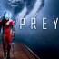 prey-1